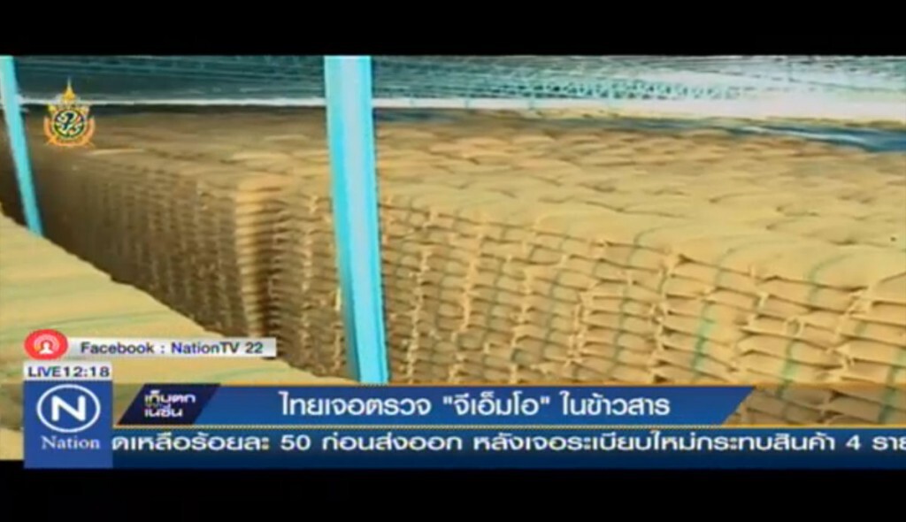 ไทยเจอตรวจ "จีเอ็มโอ" ในข้าวสาร ไทยเจอตรวจ "จีเอ็มโอ" ในข้าวสาร