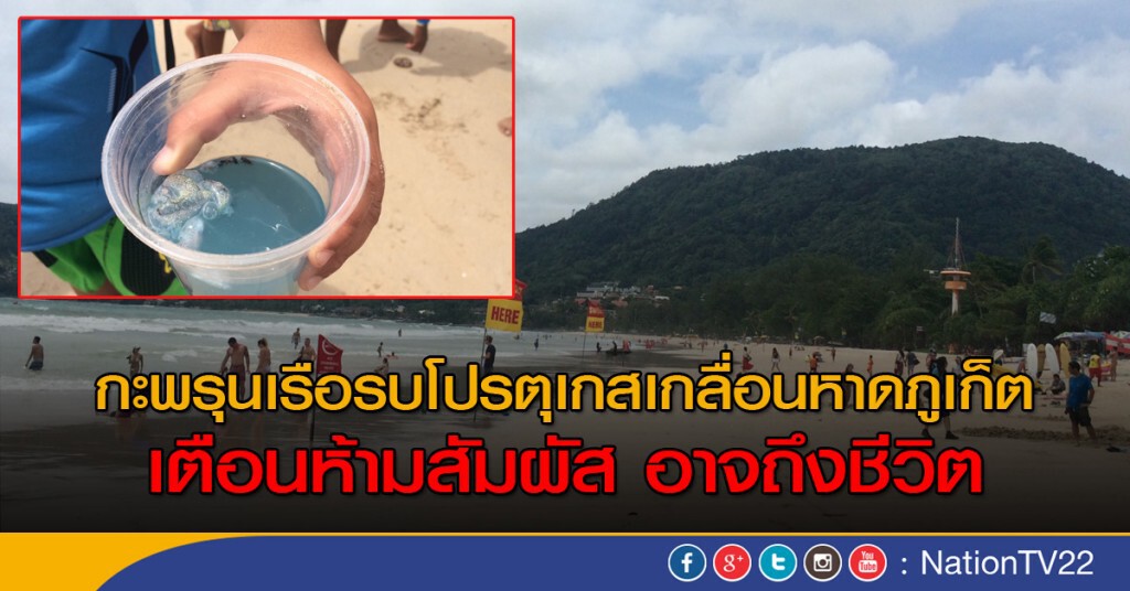 เตือนระวังแมงกะพรุนไฟ หาดภูเก็ต เตือนระวังแมงกะพรุนไฟ หาดภูเก็ต