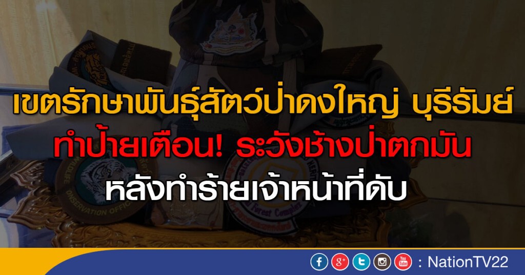 เตือนระวังช้างตกมัน "ป่าดงใหญ่" เตือนระวังช้างตกมัน "ป่าดงใหญ่"