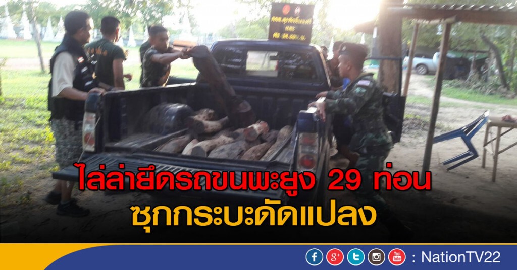 ไล่ล่ายึดรถขนพะยูง 29 ท่อน ซุกกระบะดัดแปลง