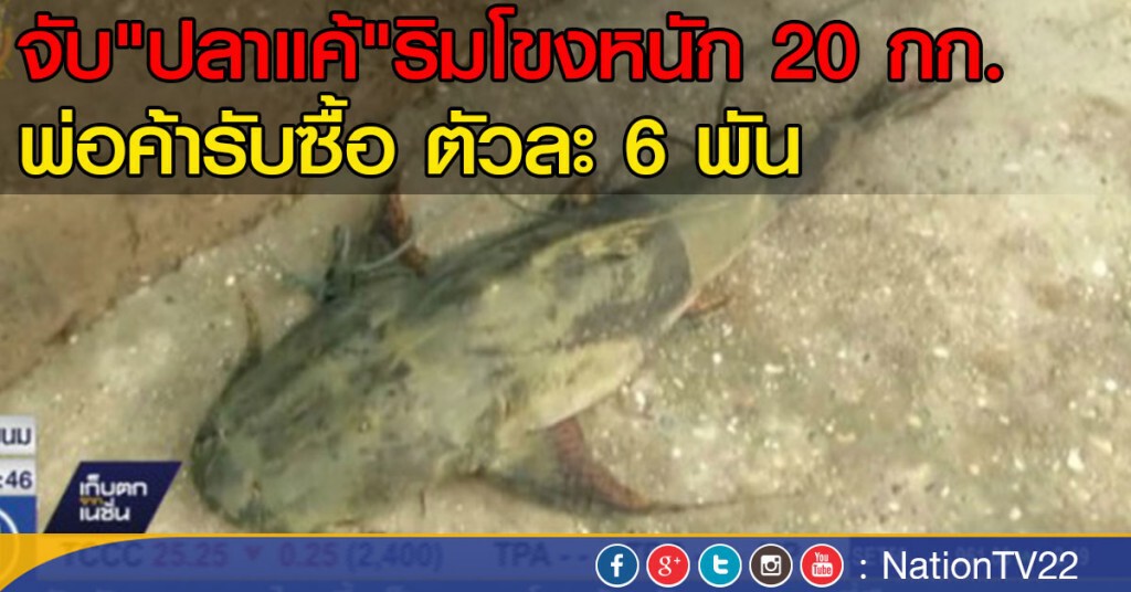 จับ"ปลาแค้"ริมโขงหนัก 20 กก. จับ"ปลาแค้"ริมโขงหนัก 20 กก.