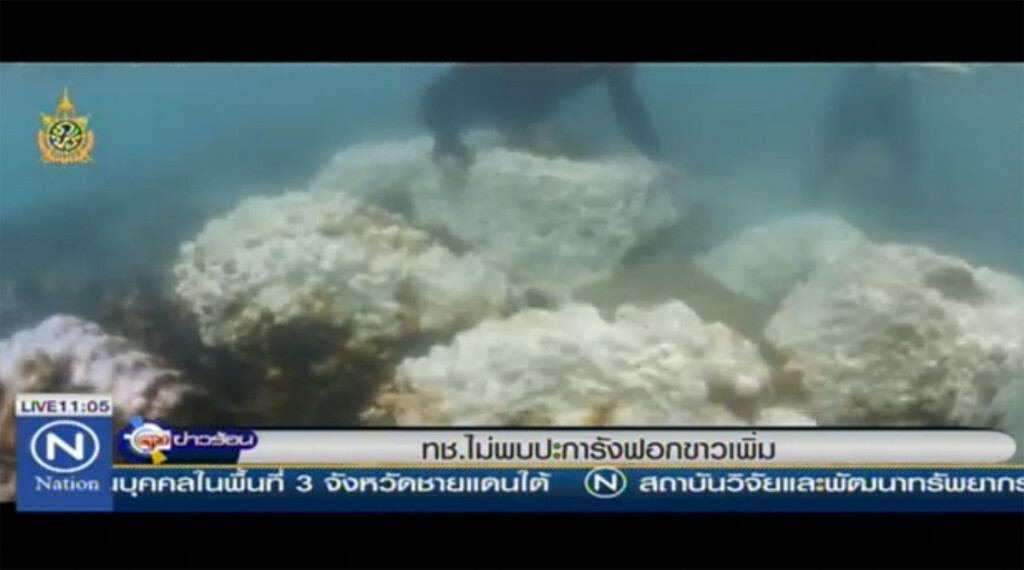 ทช.ไม่พบปะการังฟอกขาวเพิ่ม ทช.ไม่พบปะการังฟอกขาวเพิ่ม