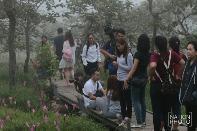 ความงดงามก่อนวันจริง
กิจกรรมปั่น Slow Life เมืองต้องห้ามพลาด...พลัส
ชมดอกกระเจียว หนึ่งเดียวในไทย