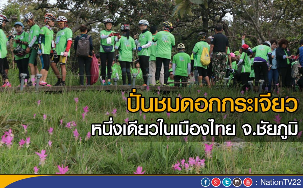 ปั่นชมดอกกระเจียว
หนึ่งเดียวในเมืองไทย จ.ชัยภูมิ ปั่นชมดอกกระเจียว
หนึ่งเดียวในเมืองไทย จ.ชัยภูมิ