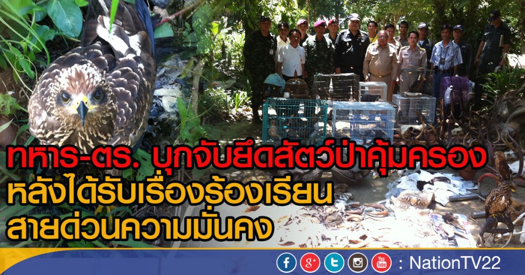 ทหาร-ตร. บุกจับยึดสัตว์ป่าคุ้มครอง
หลังได้รับเรื่องร้องเรียนสายด่วนความมั่นคง