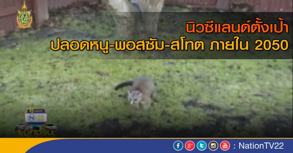 นิวซีแลนด์ตั้งเป้าปลอดหนูภายใน 2050 นิวซีแลนด์ตั้งเป้าปลอดหนูภายใน 2050