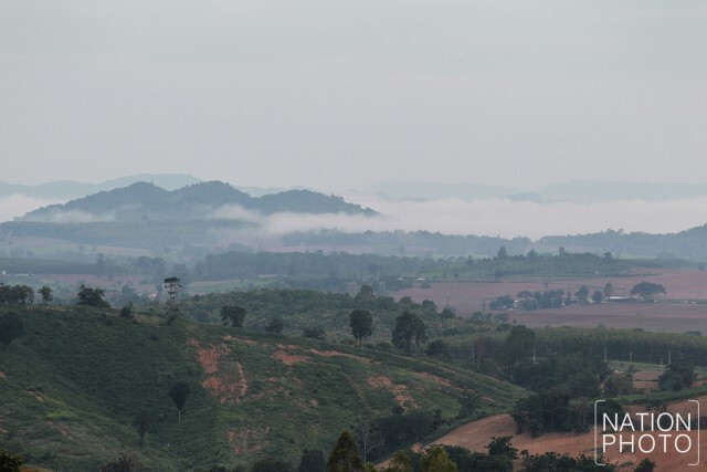 ดูกระทิงหน้าฝน ที่เขตรักษาพันธุ์สัตว์ป่าเขาแผงม้า