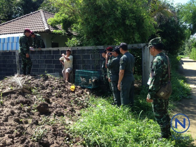 ทหาร-ตร. บุกจับยึดสัตว์ป่าคุ้มครอง
หลังได้รับเรื่องร้องเรียนสายด่วนความมั่นคง