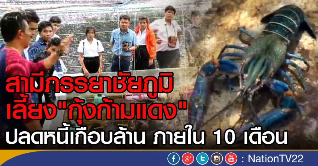 สามีภรรยาชัยภูมิ เลี้ยง"กุ้งก้ามแดง"ปลดหนี้เกือบล้าน
ภายใน 10 เดือน