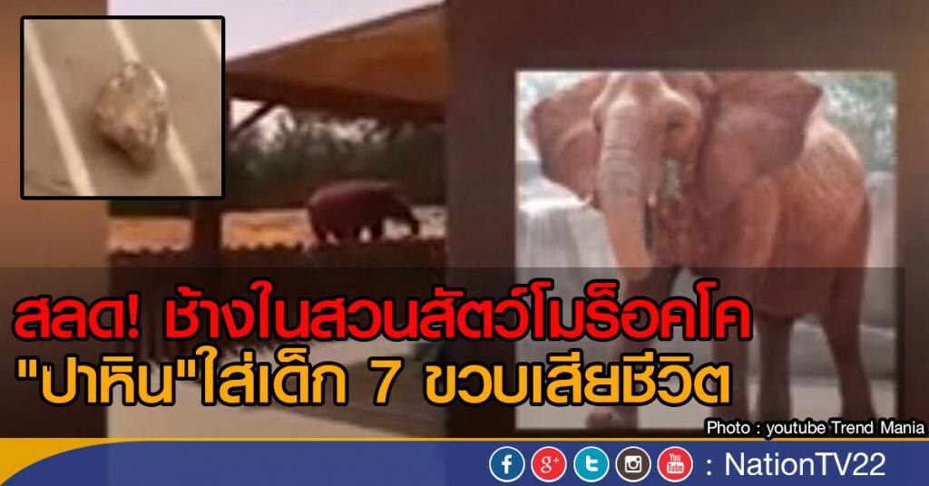 ช้างปาหินใส่เด็กเสียชีวิตในโมร็อคโค ช้างปาหินใส่เด็กเสียชีวิตในโมร็อคโค