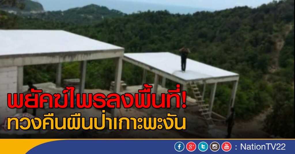 ป่าไม้จัดชุดใหญ่ ยึดคืนเกาะพะงัน ป่าไม้จัดชุดใหญ่ ยึดคืนเกาะพะงัน
