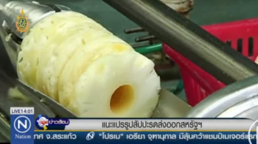 แนะแปรรูปสัปปะรดส่งออกสหรัฐฯ แนะแปรรูปสัปปะรดส่งออกสหรัฐฯ