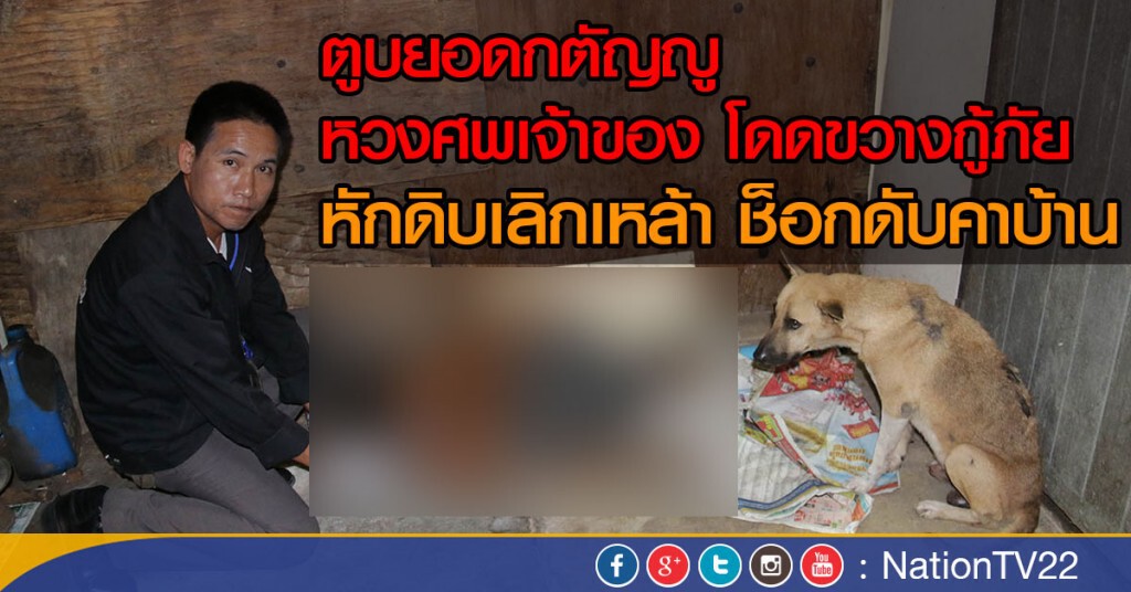 ตูบยอดกตัญญู หวงศพเจ้าของ โดดขวางกู้ภัย
หักดิบเลิกเหล้า ช็อกดับคาบ้าน