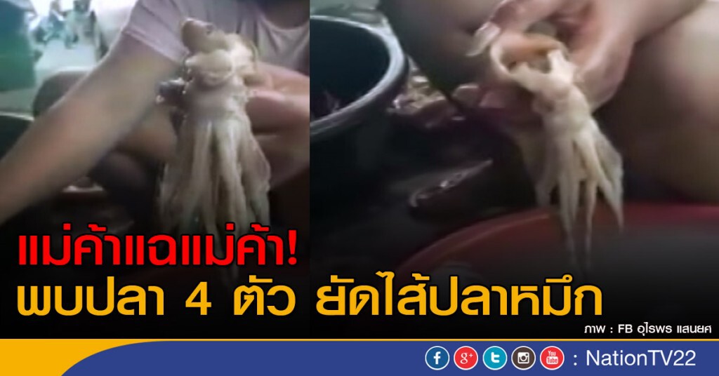 คลิป...แม่ค้าแฉแม่ค้า ปลาหมึกสดๆยัดไส้ปลา คลิป...แม่ค้าแฉแม่ค้า ปลาหมึกสดๆยัดไส้ปลา