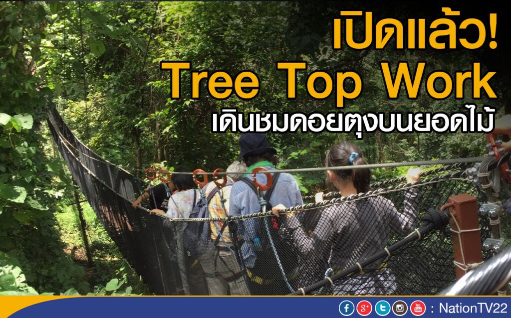 เปิดแล้ว! "tree top work" เดินชมดอยตุงบนยอดไม้