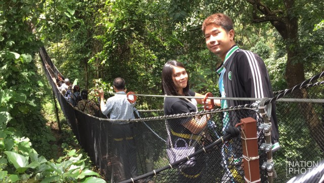 เปิดแล้ว! "tree top work" เดินชมดอยตุงบนยอดไม้