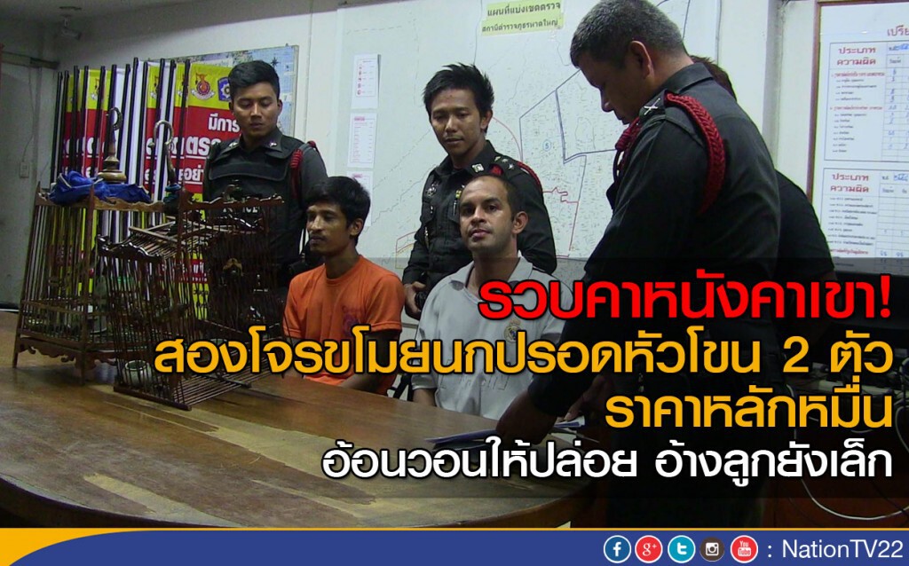 รวบได้คาหนังคาเขา สองโจรขโมยนกปรอดหัวโขนหรือนกกรงหัวจุก 2 ตัว ราคาหลักหมื่น