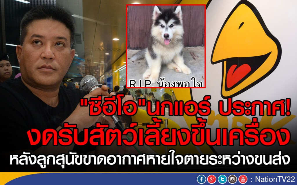 "ซีอีโอ" นกแอร์ ประกาศ! งดรับสัตว์เลี้ยงขึ้นเครื่อง
หลังลูกสุนัข ตายระหว่างขนส่ง "ซีอีโอ" นกแอร์ ประกาศ! งดรับสัตว์เลี้ยงขึ้นเครื่อง
หลังลูกสุนัข ตายระหว่างขนส่ง