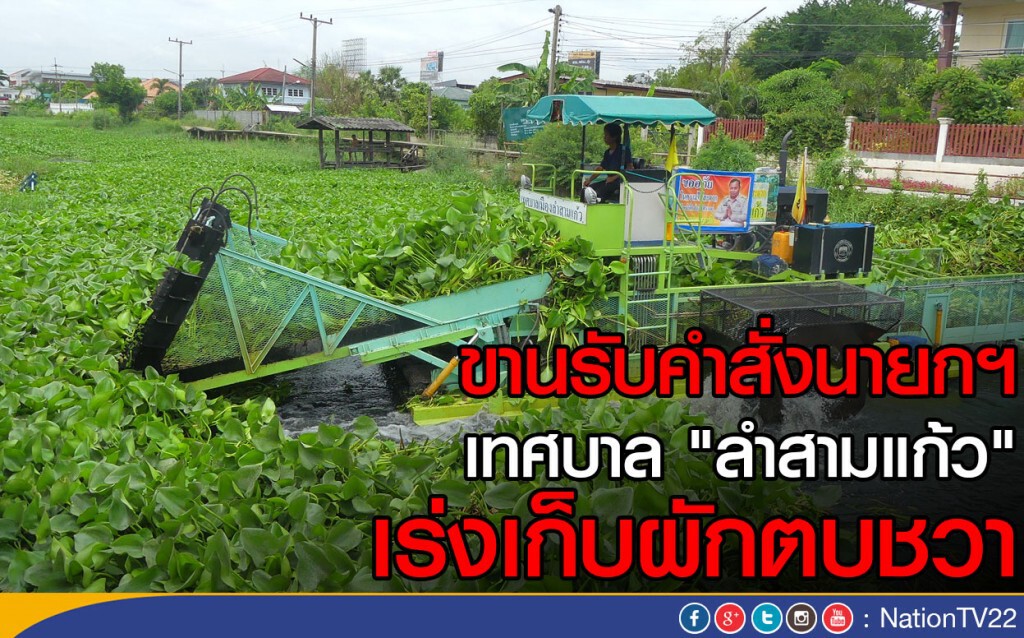 ขานรับคำสั่งนายกฯ เทศบาล "ลำสามแก้ว"  เร่งเก็บผักตบชวา