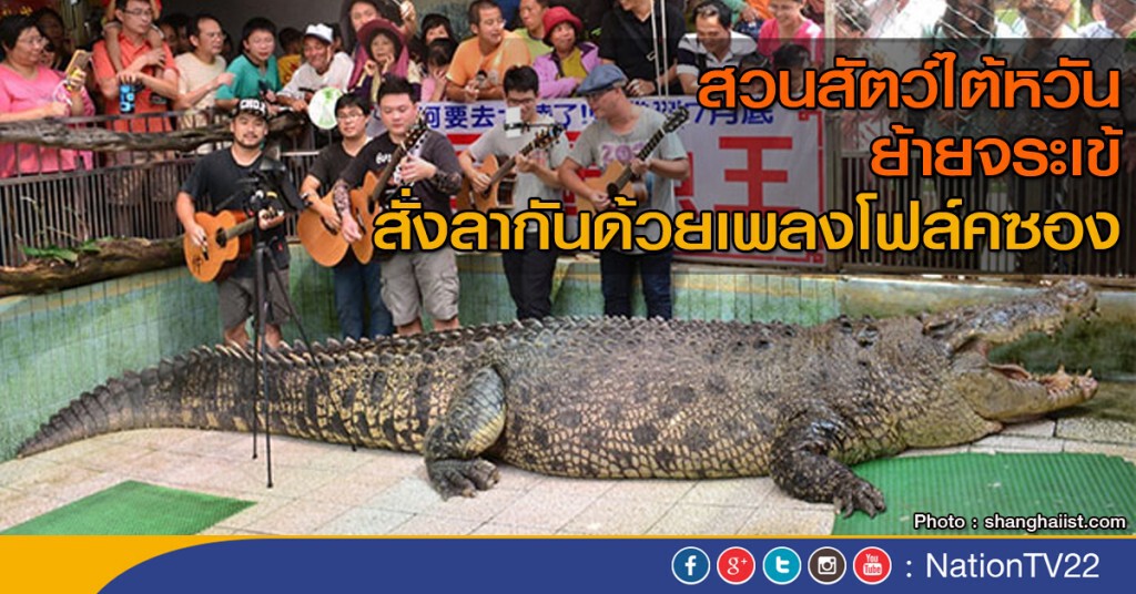 สวนสัตว์ไต้หวัน ย้ายจระเข้ สวนสัตว์ไต้หวัน ย้ายจระเข้