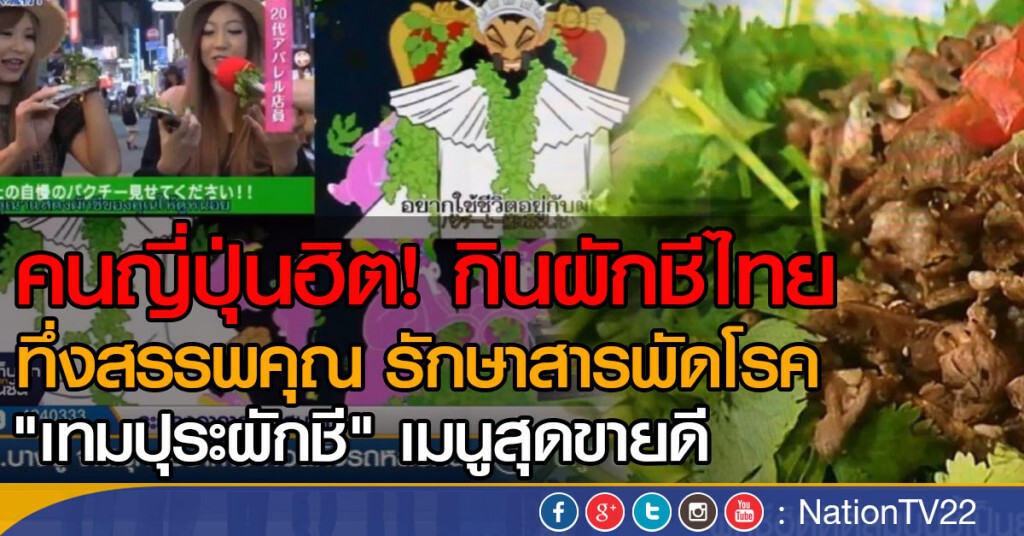 คนญี่ปุ่นฮิต! กินผักชีไทย ทึ่งสรรพคุณ รักษาสารพัดโรค