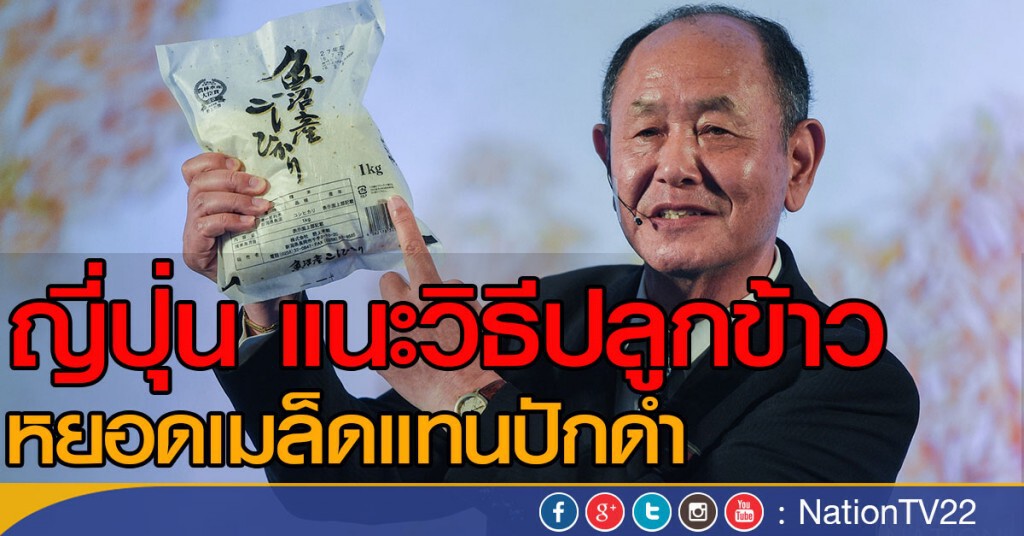 ญี่ปุุ่น แนะวิธีปลูกข้าว หยอดเมล็ดแทนปักดำ ญี่ปุุ่น แนะวิธีปลูกข้าว หยอดเมล็ดแทนปักดำ