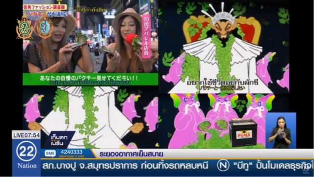 คนญี่ปุ่นฮิต! กินผักชีไทย ทึ่งสรรพคุณ รักษาสารพัดโรค