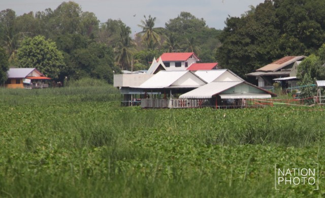 เร่งกำจัดผักตบชวา เหนือเขื่อนเจ้าพระยา
