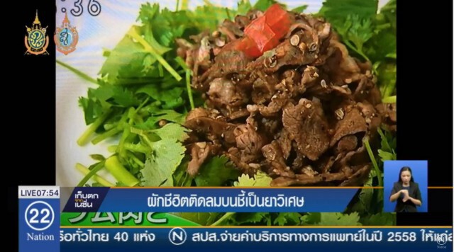 คนญี่ปุ่นฮิต! กินผักชีไทย ทึ่งสรรพคุณ รักษาสารพัดโรค
