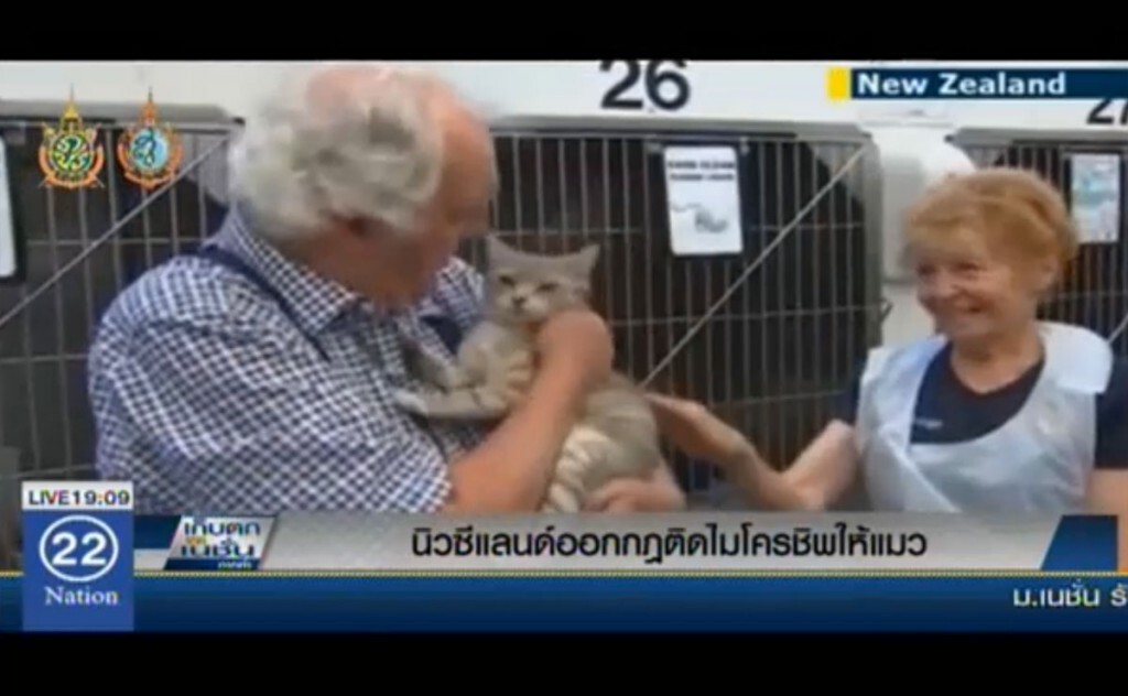 นิวซีแลนด์ออกกฎ ติดไมโครชิพให้แมว นิวซีแลนด์ออกกฎ ติดไมโครชิพให้แมว