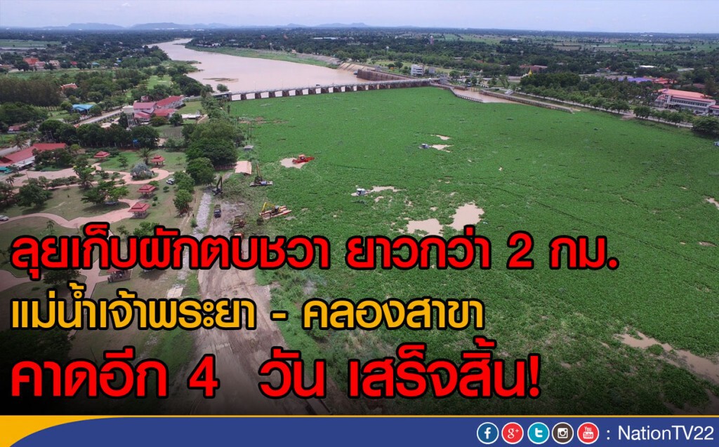 ลุยเก็บผักตบชวา ยาวกว่า 2 กม. แม่น้ำเจ้าพระยา - คลองสาขา คาดอีก 4 วัน เสร็จสิ้น ลุยเก็บผักตบชวา ยาวกว่า 2 กม. แม่น้ำเจ้าพระยา - คลองสาขา คาดอีก 4 วัน เสร็จสิ้น