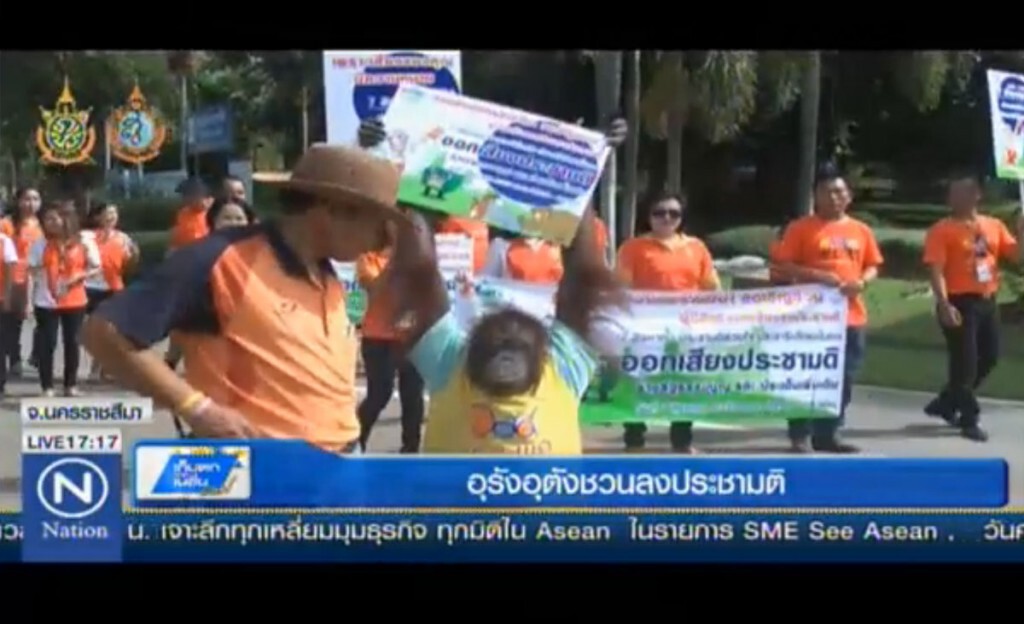 อุรังอุตังชวนลงประชามติ อุรังอุตังชวนลงประชามติ