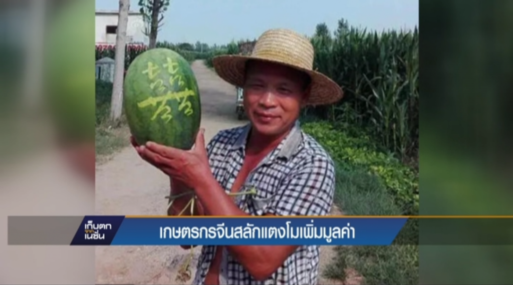 เกษตรกรจีนสลักแตงโมเพิ่มมูลค่า เกษตรกรจีนสลักแตงโมเพิ่มมูลค่า