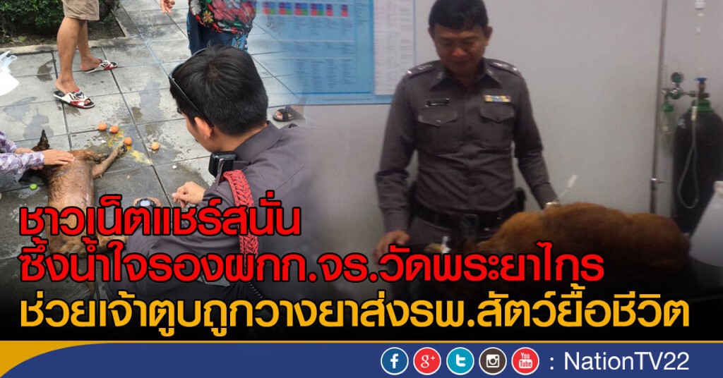 ชาวเน็ตแชร์สนั่น
ซึ้งน้ำใจรองผกก.จร.วัดพระยาไกร
ช่วยเจ้าตูบถูกวางยาส่งรพ.สัตว์ยื้อชีวิต