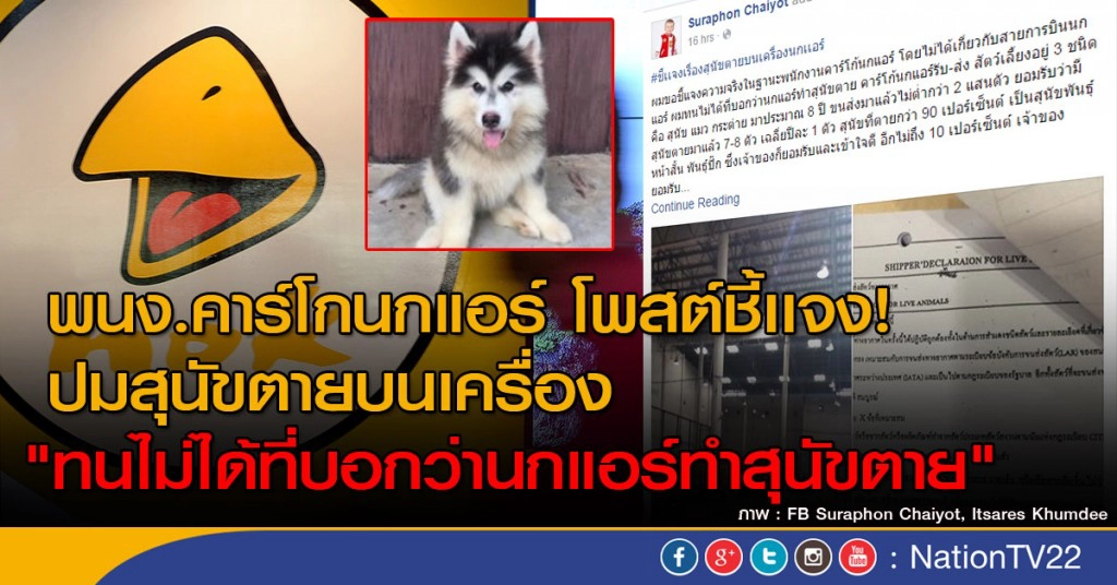 ‎พนง.คาร์โกนกแอร์ โพสต์ชี้เเจง!
ปมสุนัขตายบนเครื่อง
