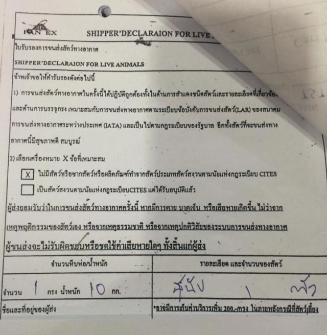 ‎พนง.คาร์โกนกแอร์ โพสต์ชี้เเจง!
ปมสุนัขตายบนเครื่อง