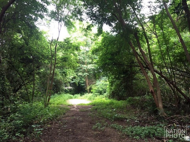 ครู-นักเรียน เรยีนาฯ เดินขบวน! 
ไม่เอาคอนโดฯธนารักษ์