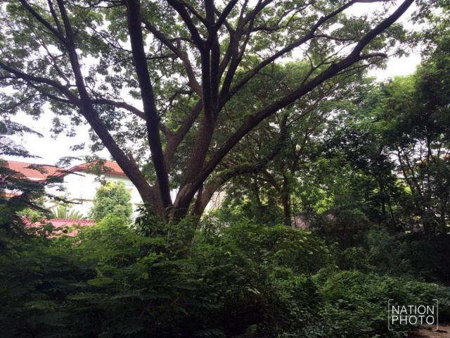 ครู-นักเรียน เรยีนาฯ เดินขบวน! 
ไม่เอาคอนโดฯธนารักษ์