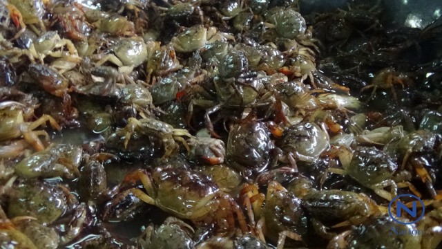 พาชิมเมนูจาก"ปูนา" อาหารพื้นเมืองสุดขายดี
ตลาดใต้เมืองพิษณุโลก