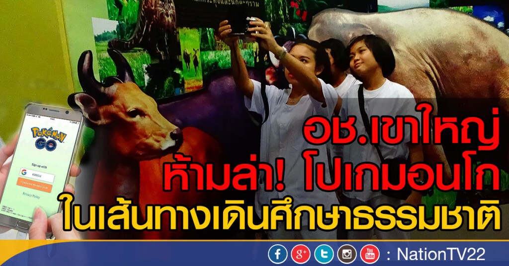 อช.เขาใหญ่ ห้ามล่า! โปเกมอนโก
ในเส้นทางเดินศึกษาธรรมชาติ อช.เขาใหญ่ ห้ามล่า! โปเกมอนโก
ในเส้นทางเดินศึกษาธรรมชาติ