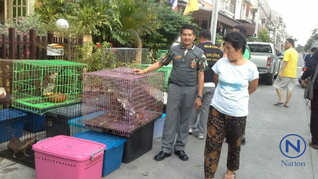 ปทส.ร่วมกรมอุทยานฯ
บุกจับบ้านเลี้ยงสัตว์ป่าคุ้มครองกลางกรุง
พบนกหายากเพียบ