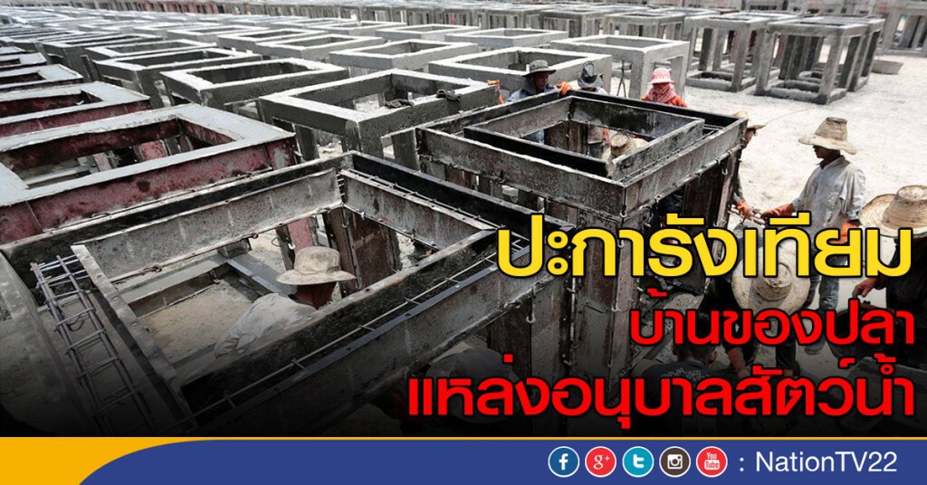= ปะการังเทียม = = ปะการังเทียม =
