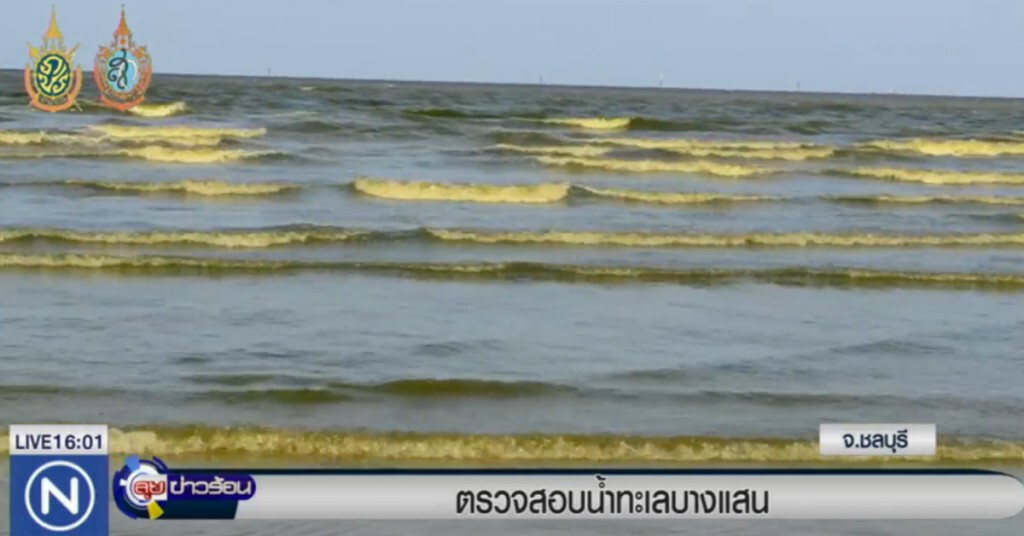 ตรวจสอบน้ำทะเลบางแสน ตรวจสอบน้ำทะเลบางแสน