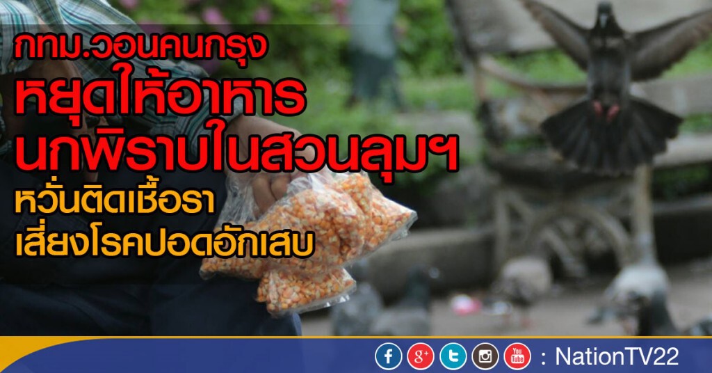 กทม.วอนคนกรุงฯ
หยุดให้อาหารนกพิราบในสวนลุมฯ
หวั่นติดเชื้อรา-เสี่ยงโรคปอดอักเสบ กทม.วอนคนกรุงฯ
หยุดให้อาหารนกพิราบในสวนลุมฯ
หวั่นติดเชื้อรา-เสี่ยงโรคปอดอักเสบ