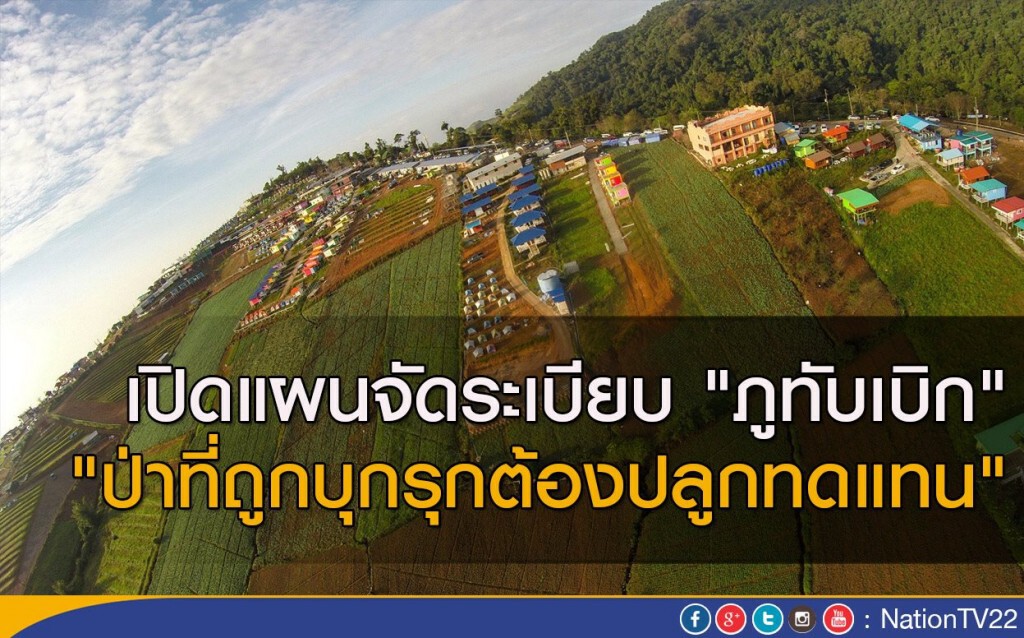 เปิดแผนจัดระเบียบ "ภูทับเบิก"  
"ป่าที่ถูกบุกรุกต้องปลูกทดแทน"