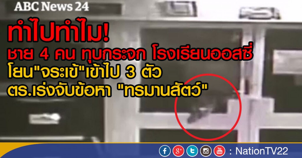 ปล่อยจระเข้เข้าโรงเรียนออสเตรเลีย ปล่อยจระเข้เข้าโรงเรียนออสเตรเลีย