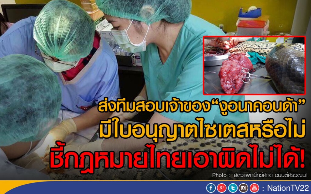 ส่งทีมสอบเจ้าของงูอนาคอนด้า
มีใบอนุญาตไซเตสหรือไม่