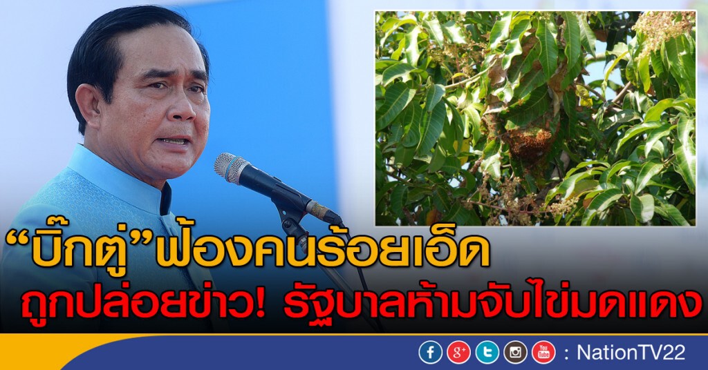 "บิ๊กตู่"ฟ้องคนร้อยเอ็ด
     ถูกปล่อยข่าว! รัฐบาลห้ามจับไข่มดแดง