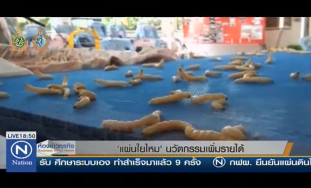 "แผ่นใยไหม" นวัตกรรมเพิ่มรายได้ "แผ่นใยไหม" นวัตกรรมเพิ่มรายได้