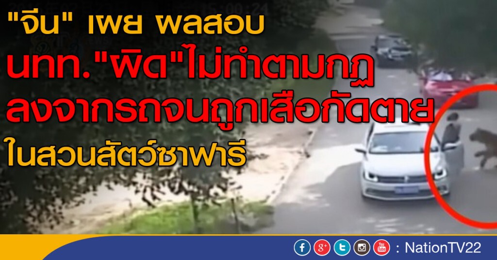 "จีน" เผย ผลสอบเหตุเสือกัด นทท.ตาย "จีน" เผย ผลสอบเหตุเสือกัด นทท.ตาย